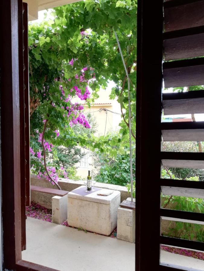 דרזניצה Apartmani Martinovka מראה חיצוני תמונה